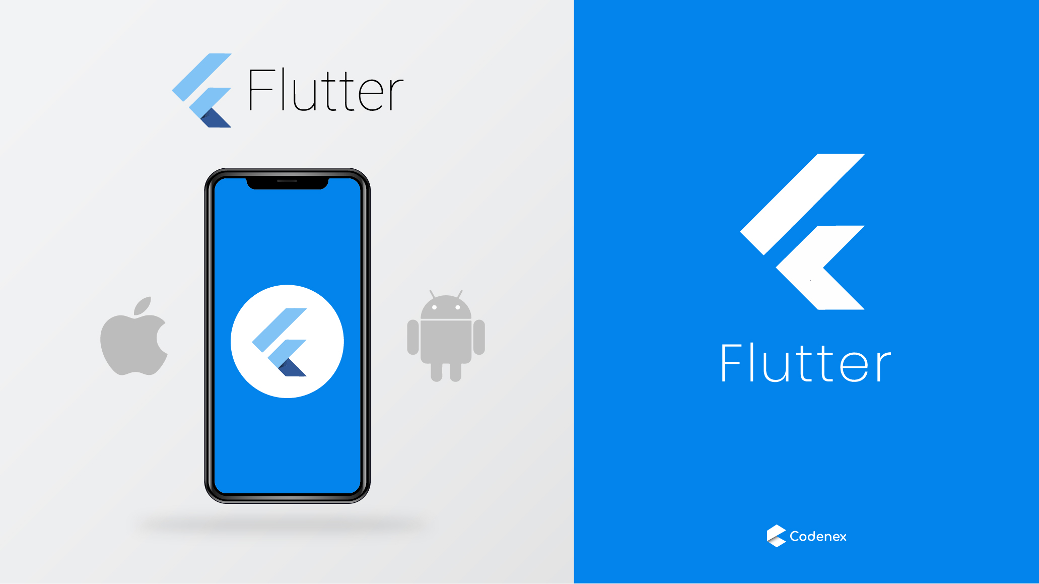 Flutter